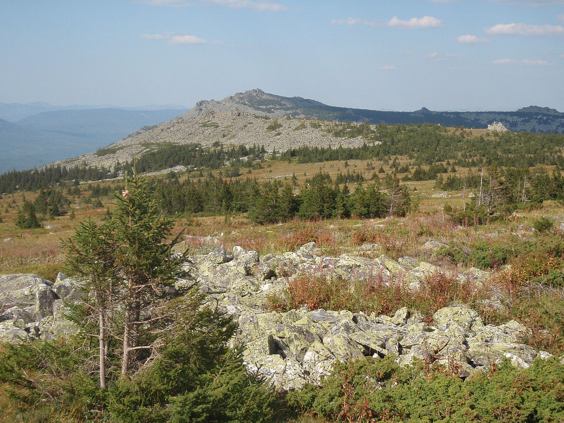Глэмпинг Борвиха